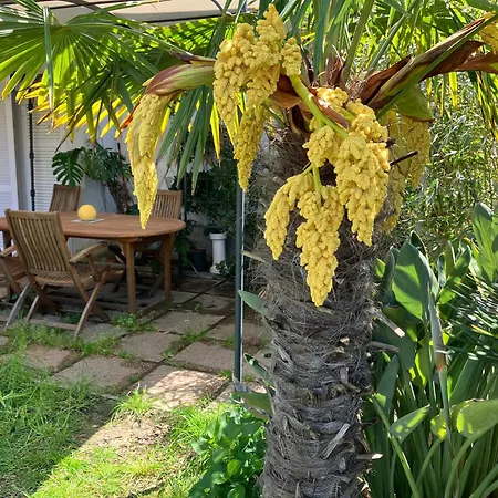 Apartment Le Bodole